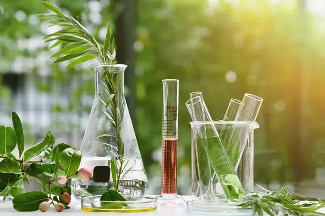 Naturopath Mount Barker