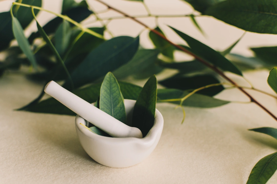 Naturopath Seaford